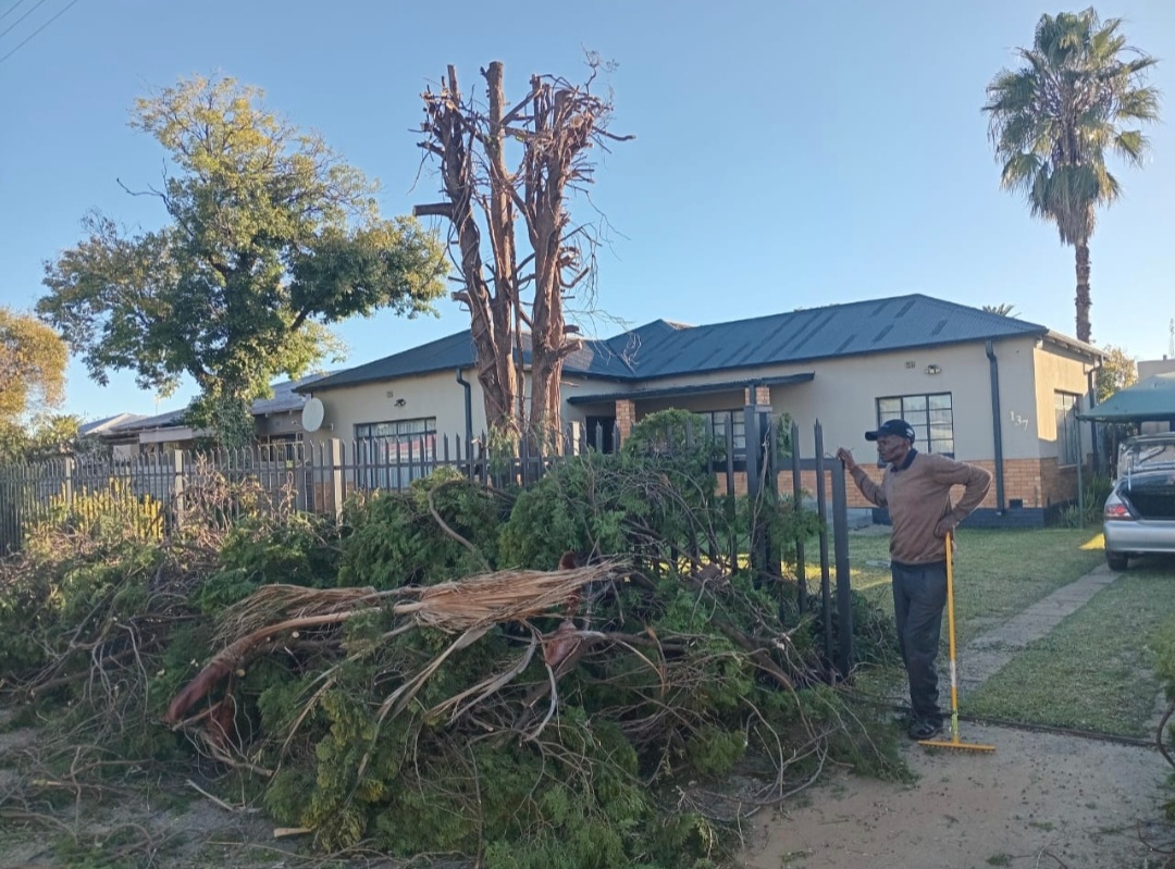 Site Clearance